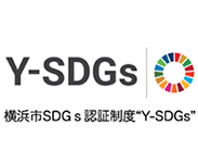 Y-SDGs