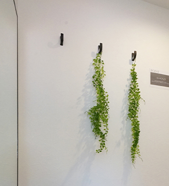 玄関のコートフック